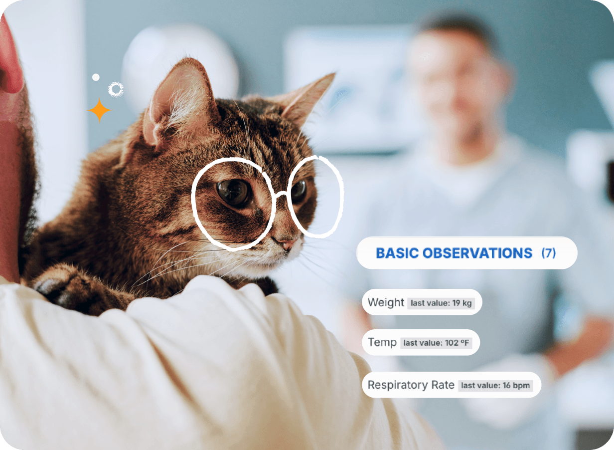 A cat on a Veterinarian's shoulder with clinic notes at an animal Urgent Care