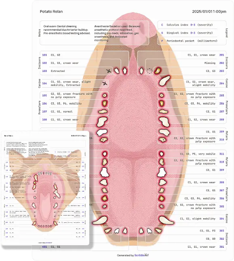 ScribbleVet canine and feline dental charts showing tooth-by-tooth COHAT findings.